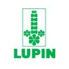 lupin